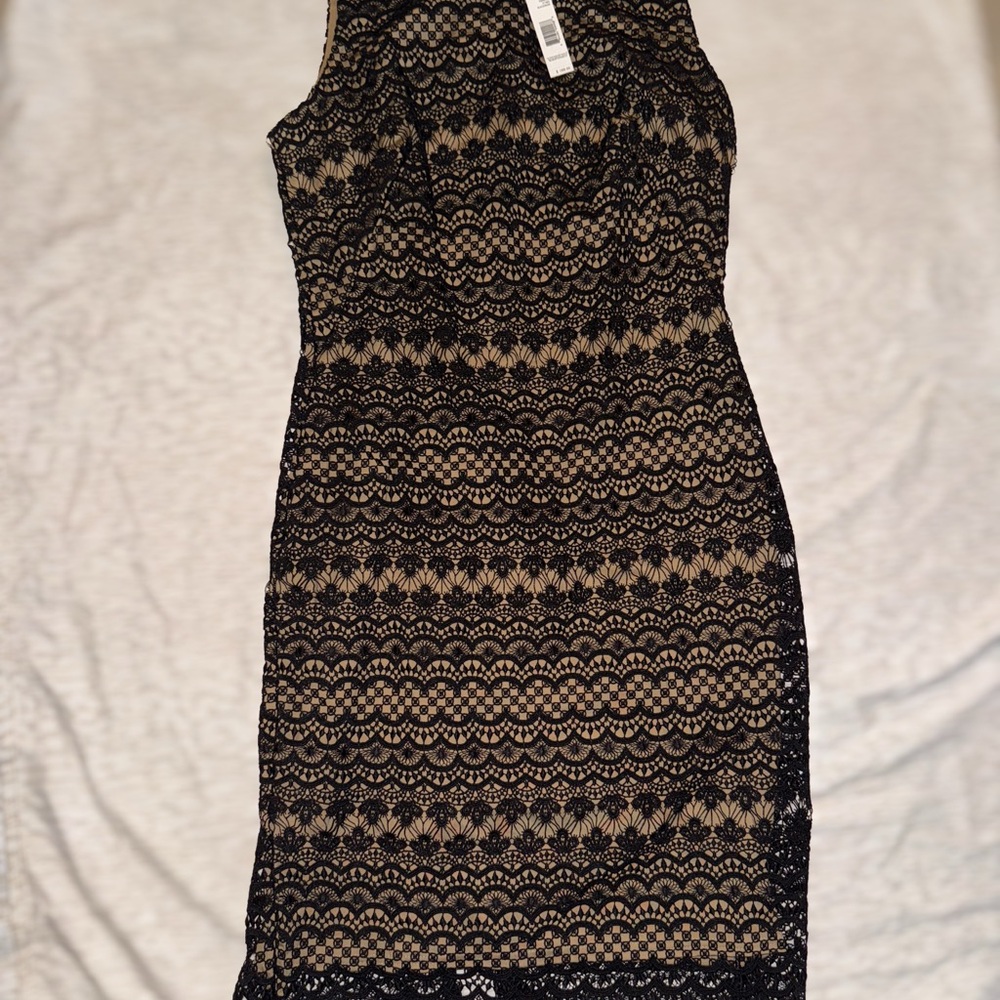 T Tahari Elegant Black and Tan Midi Dress